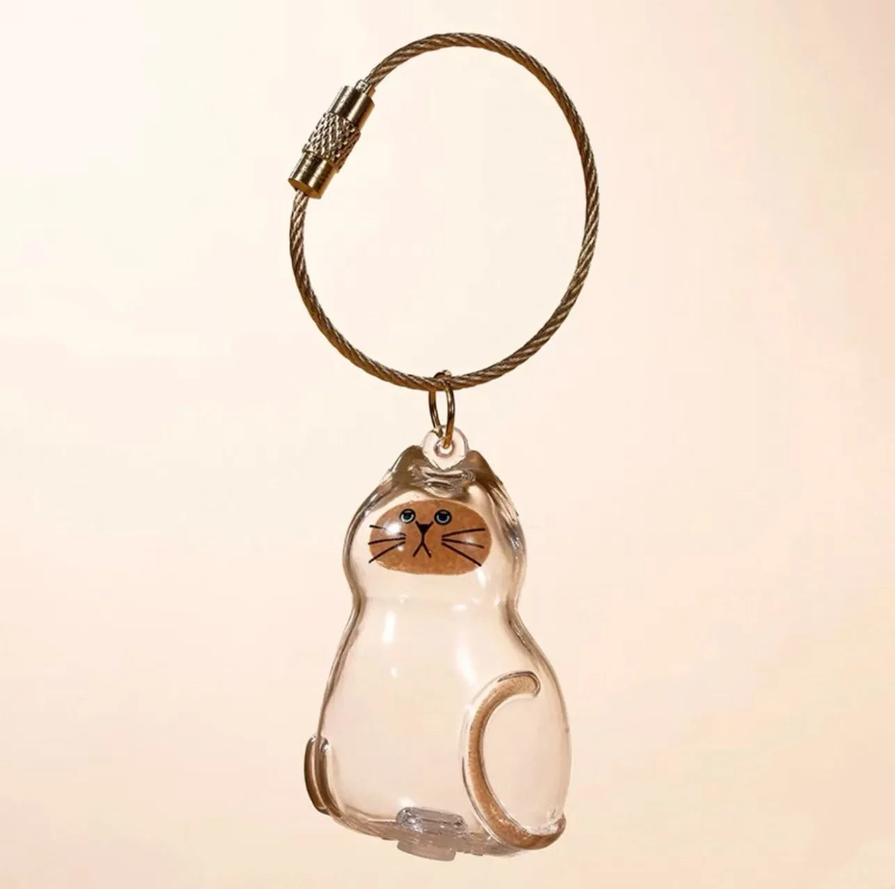 Cat Fur Memorial Charm Resin Keepsake Capsule for Pet Hair Portable Keychain Pendant for Hair Rainbow Bridge Pendant