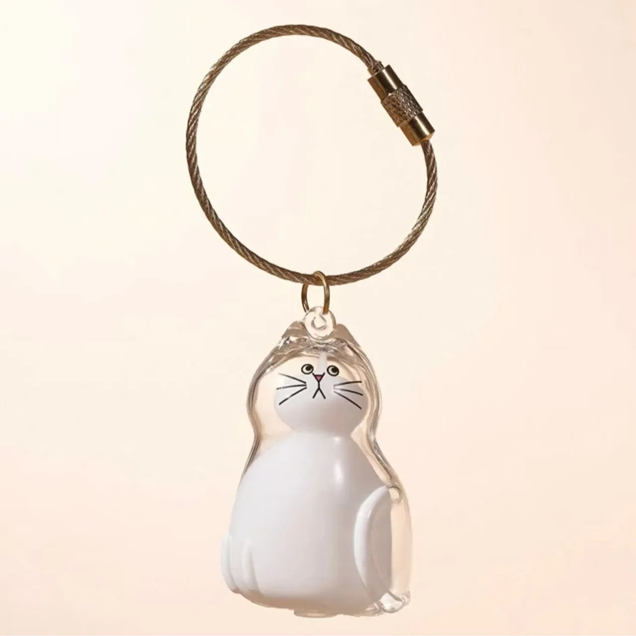 Cat Fur Memorial Charm Resin Keepsake Capsule for Pet Hair Portable Keychain Pendant for Hair Rainbow Bridge Pendant